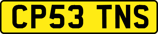 CP53TNS