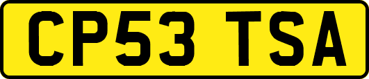 CP53TSA