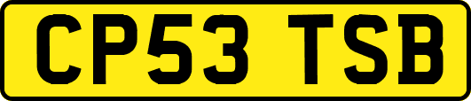 CP53TSB