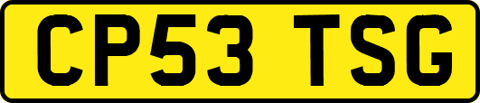 CP53TSG