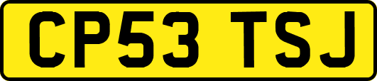 CP53TSJ