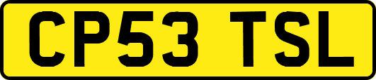 CP53TSL