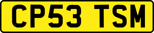CP53TSM