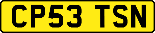 CP53TSN