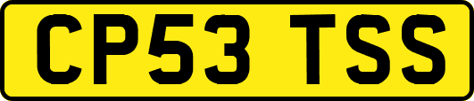 CP53TSS