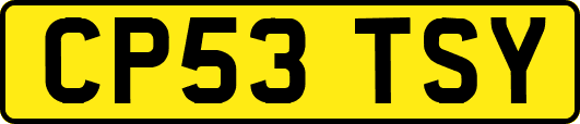 CP53TSY