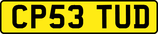 CP53TUD