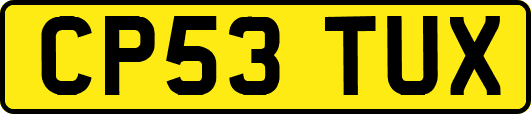 CP53TUX