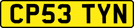 CP53TYN
