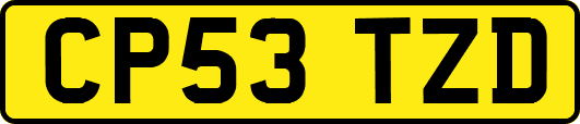CP53TZD
