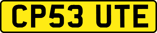 CP53UTE