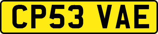 CP53VAE