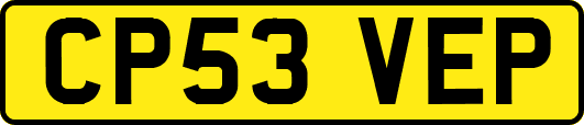 CP53VEP