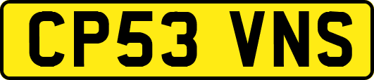 CP53VNS