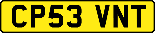 CP53VNT