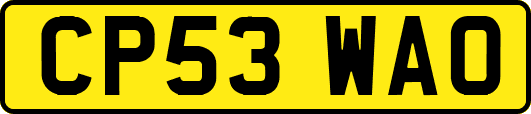 CP53WAO