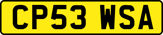 CP53WSA