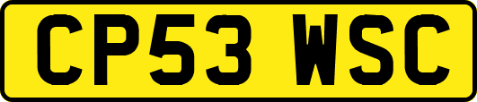 CP53WSC