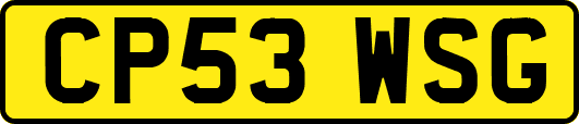 CP53WSG