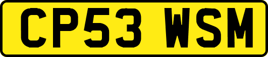 CP53WSM