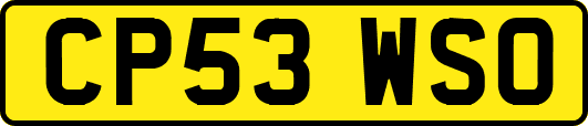 CP53WSO