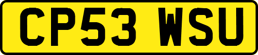CP53WSU
