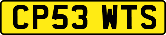 CP53WTS