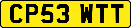 CP53WTT