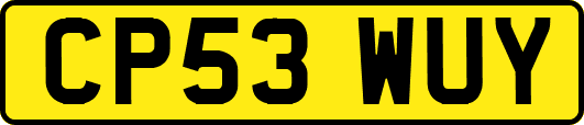 CP53WUY