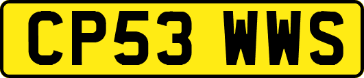 CP53WWS