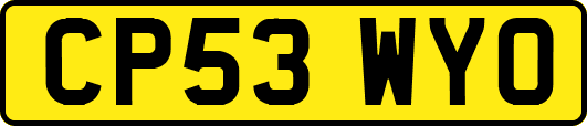 CP53WYO