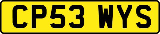 CP53WYS