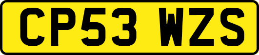 CP53WZS