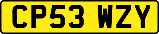 CP53WZY