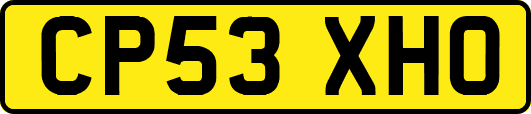 CP53XHO