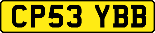 CP53YBB