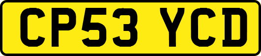 CP53YCD