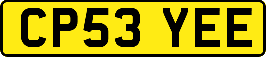 CP53YEE