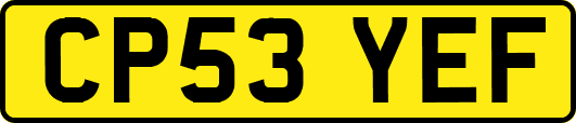 CP53YEF