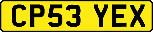CP53YEX