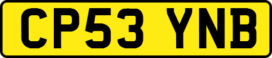 CP53YNB