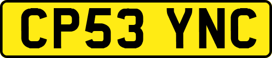 CP53YNC