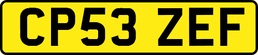 CP53ZEF