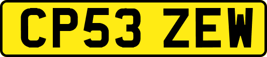 CP53ZEW