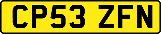 CP53ZFN