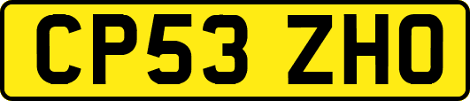 CP53ZHO