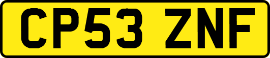 CP53ZNF