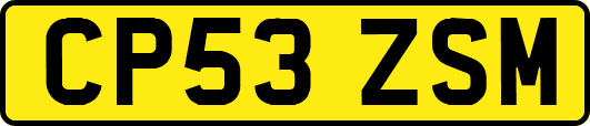 CP53ZSM