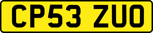 CP53ZUO