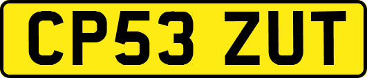 CP53ZUT